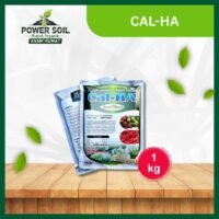 Jual Pupuk CAL-HA 1 Kg | Pupuk Kalsium dan Asam Humat untuk Tanah Subur