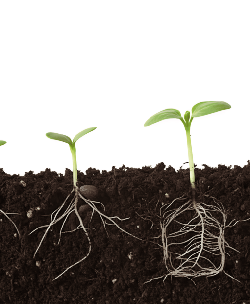 Gemini_Generated_Image_42idvm42idvm42id_imgupscaler.ai_V1(Fast)_2K (1) (1)