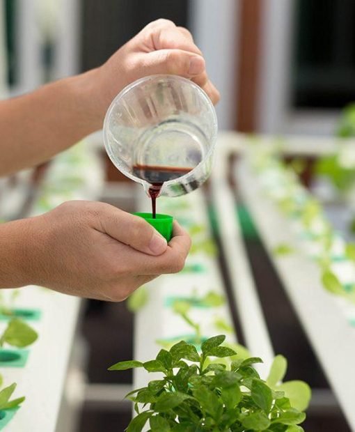 hydroponics-nutrient