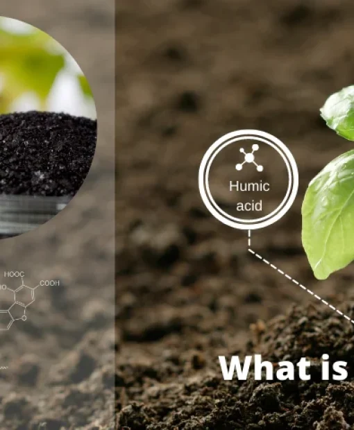 nordfert-humic-acids
